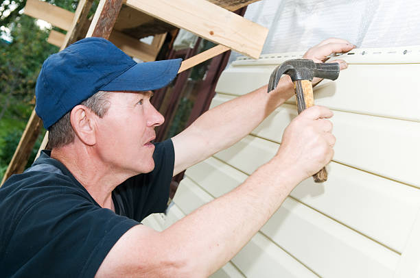 Best Fascia and Soffit Installation  in Walden, TN