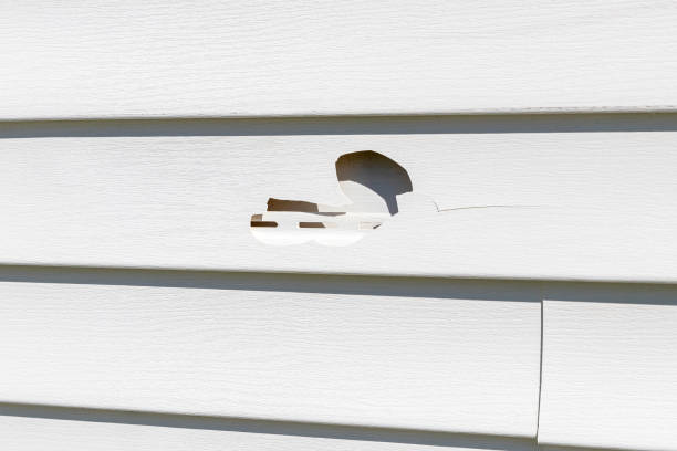 Best Residential Vinyl Siding Installation  in Walden, TN